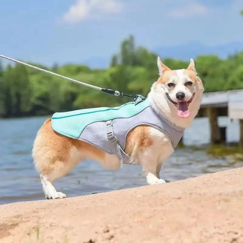 CoolWalk Dog Cooling Vest