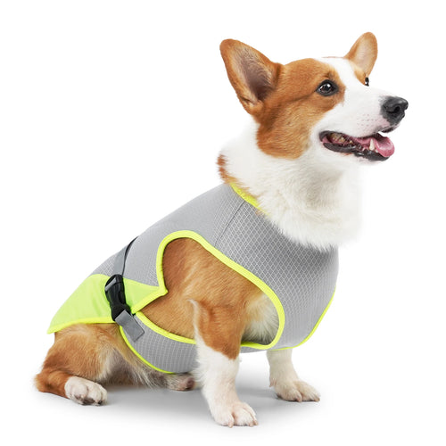CoolPup Summer Chill Dog Vest
