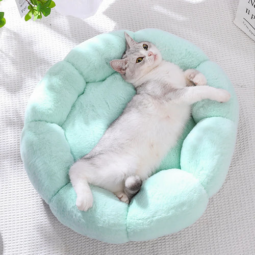 Bloom Cozy Pet Bed